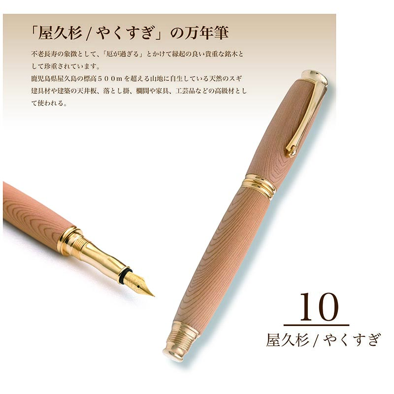E-10